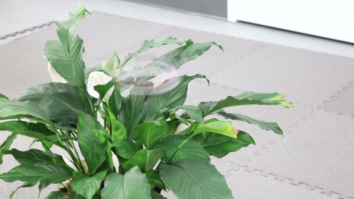 New Drone Vanishes Mid-Flight Using Motion Blur Trick - Image 2