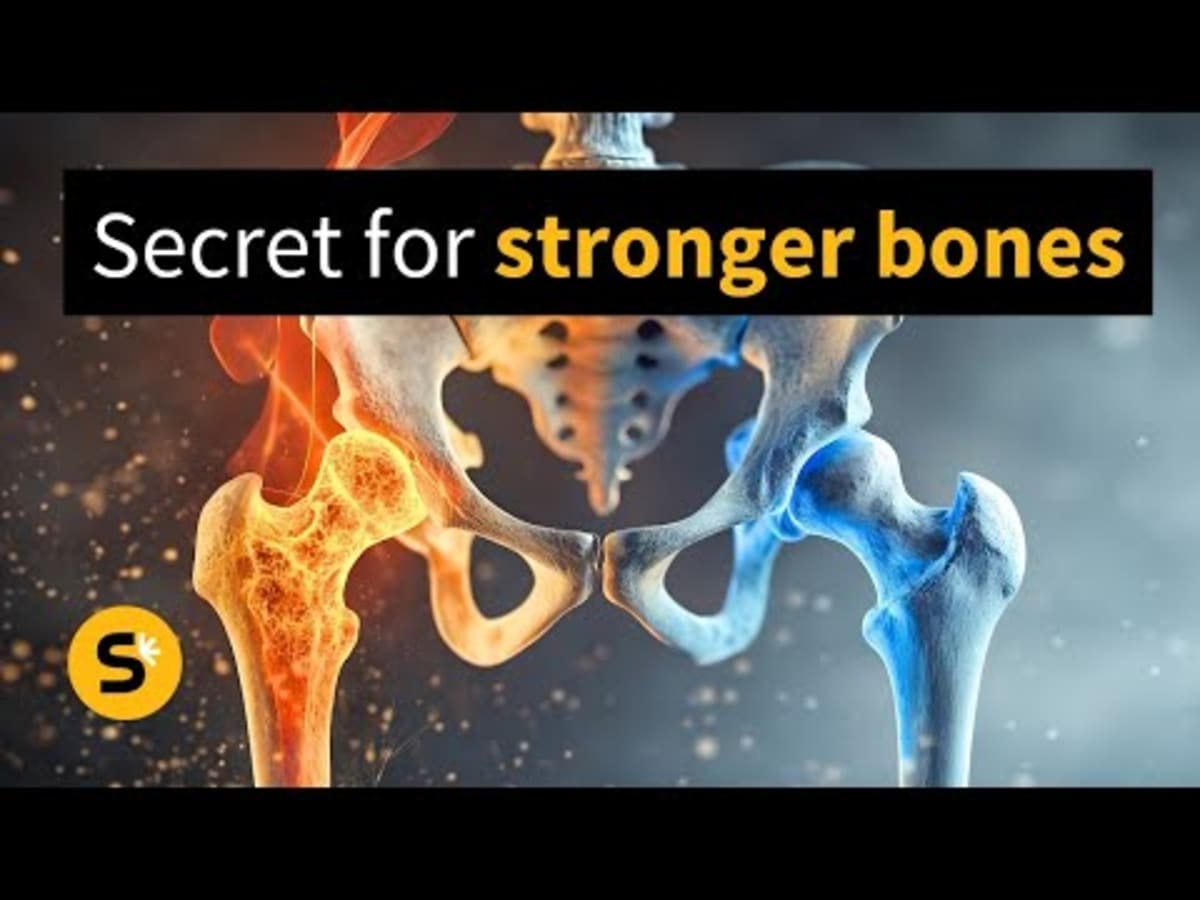 Scientists Discover Bone Receptor That Could Reverse Aging - Image 3