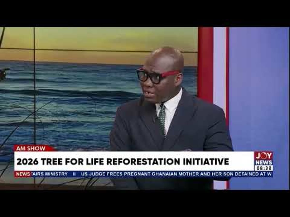 Ghana Plants 31 Million Trees, Exceeds Reforestation Goal - Image 4