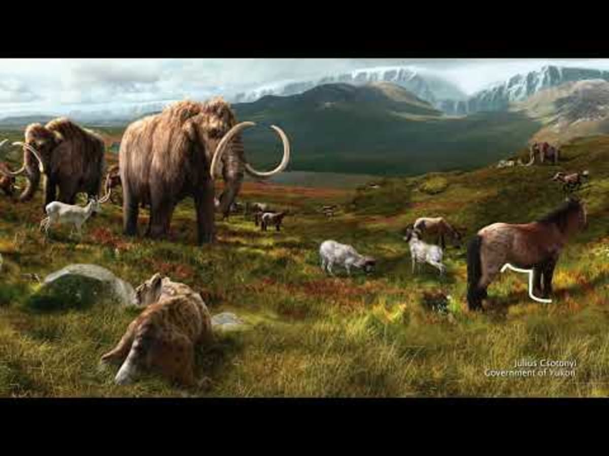 Ancient Squirrel Poop Preserves 700,000 Years of DNA - Image 3