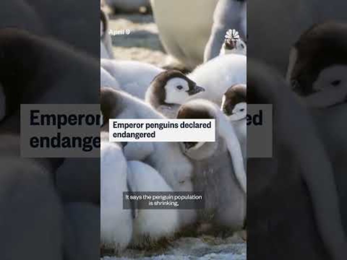 60-Year-Old Cancer Survivor Plays College Football