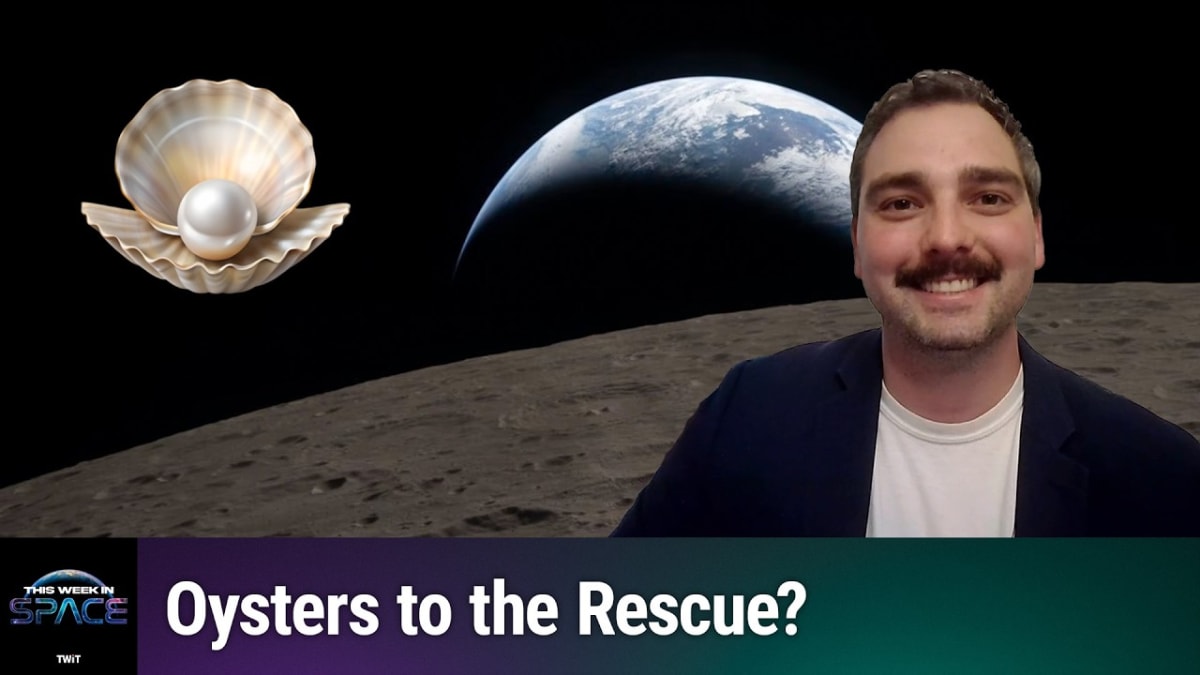 Oysters Could Filter Water for Future Moon and Mars Astronauts - Image 3
