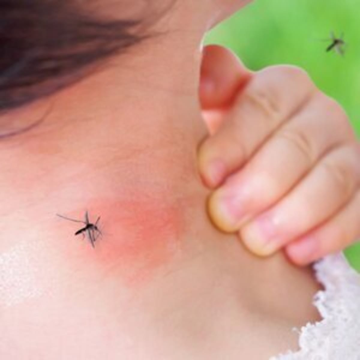 Chinese Robot Breaks Half-Marathon Record by 7 Minutes - Image 5