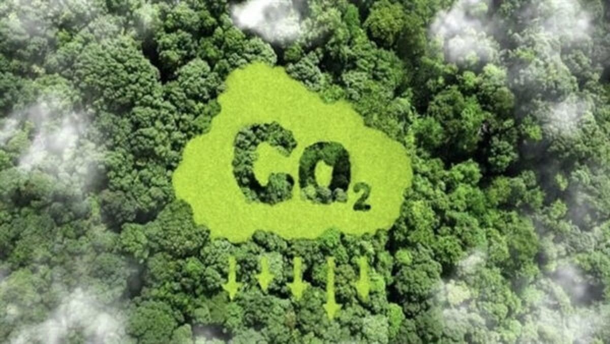 Vietnam Launches Carbon Exchange to Fight Climate Change - Image 2