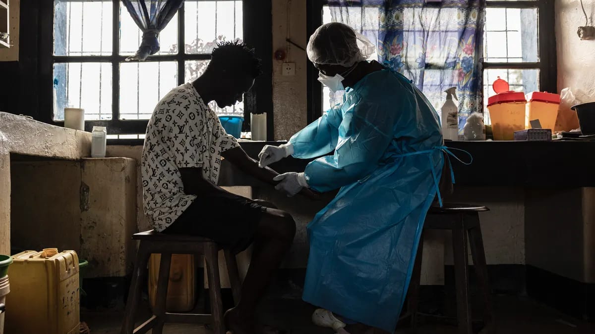 WHO Launches First Treatment Trial for Deadly Ebola Strain - Image 2