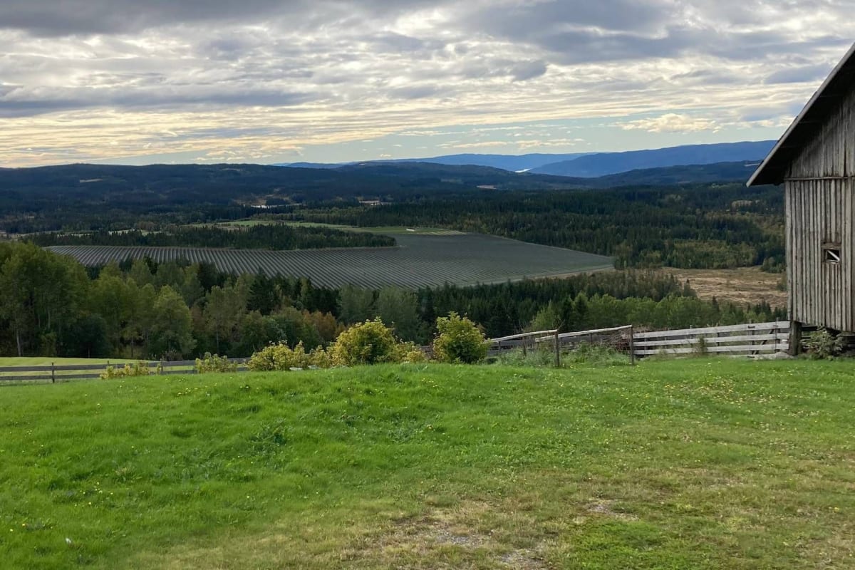 Norway Approves Second-Largest Solar Plant - Image 5