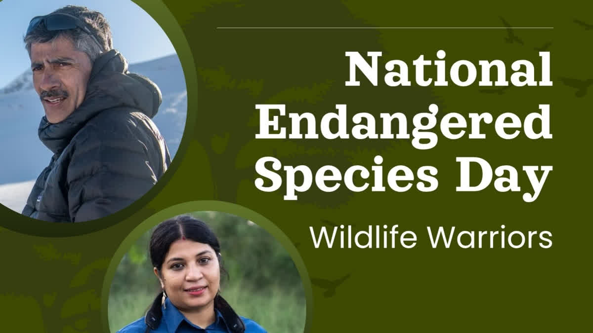 3 Indians Saving Snow Leopards, Storks, and Leopards
