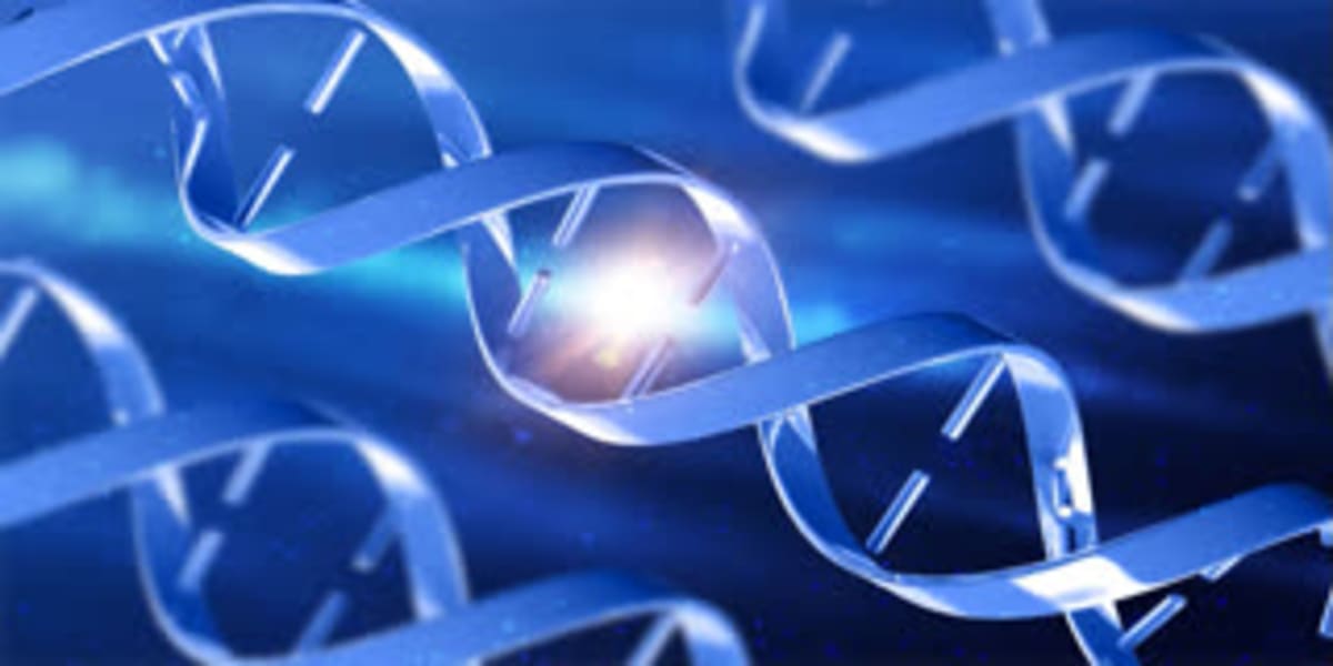 Scientists Find Protein That Could Reverse Lung Scarring - Image 4