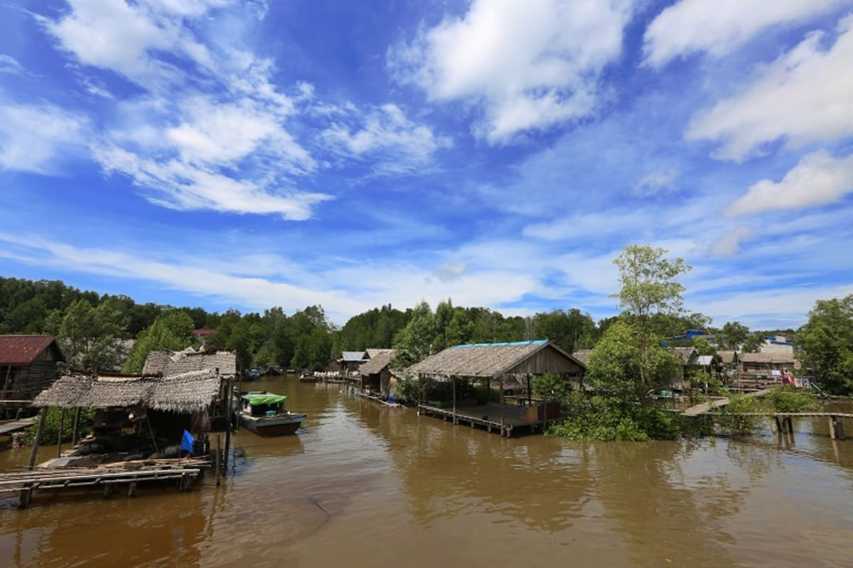 Indonesia Villages Cut Forest Loss 68% With Health Programs - Image 4