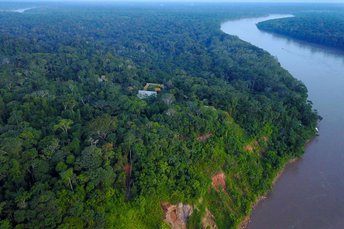 Microsoft's Solar Camera Monitors Forests for a Year Alone - Image 4