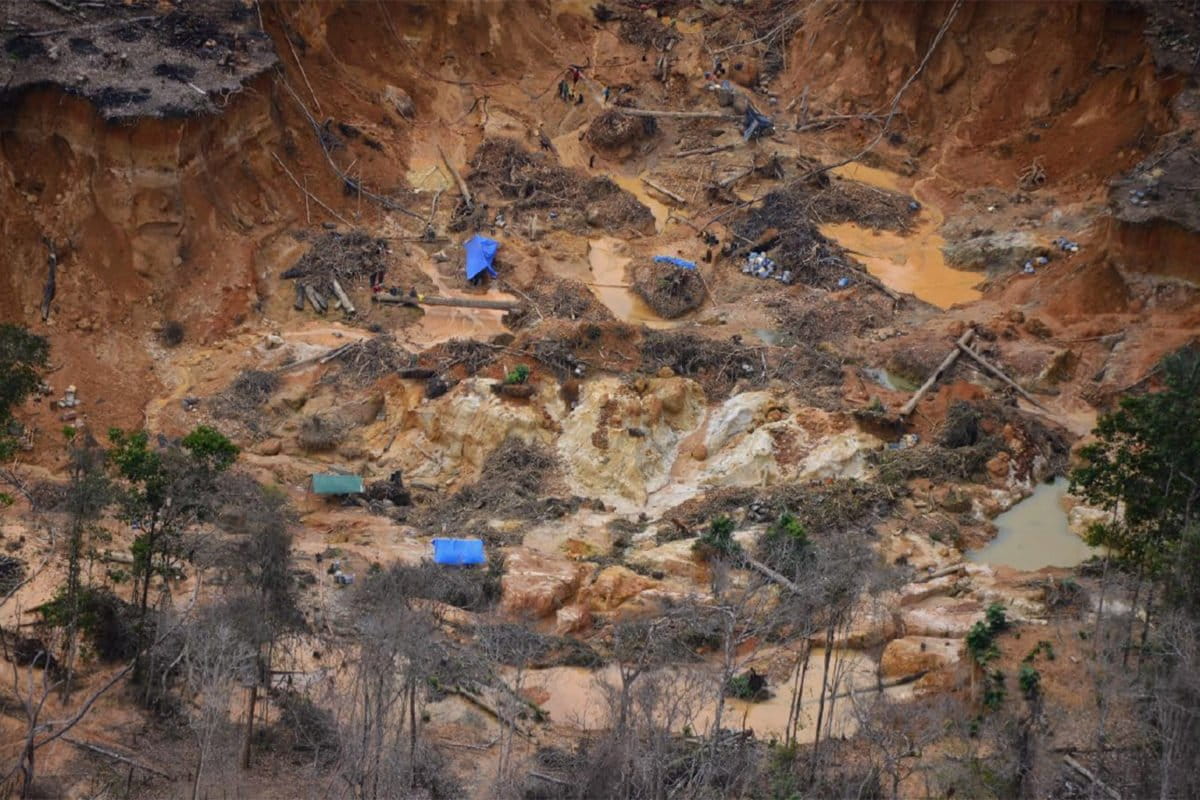 New AI Tool Exposes Illegal Amazon Gold Mining in Real Time - Image 2