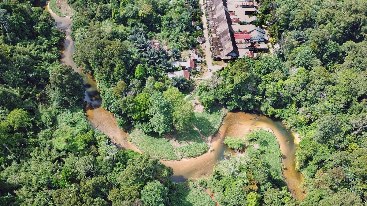 Indonesia Villages Cut Forest Loss 68% With Health Programs - Image 5
