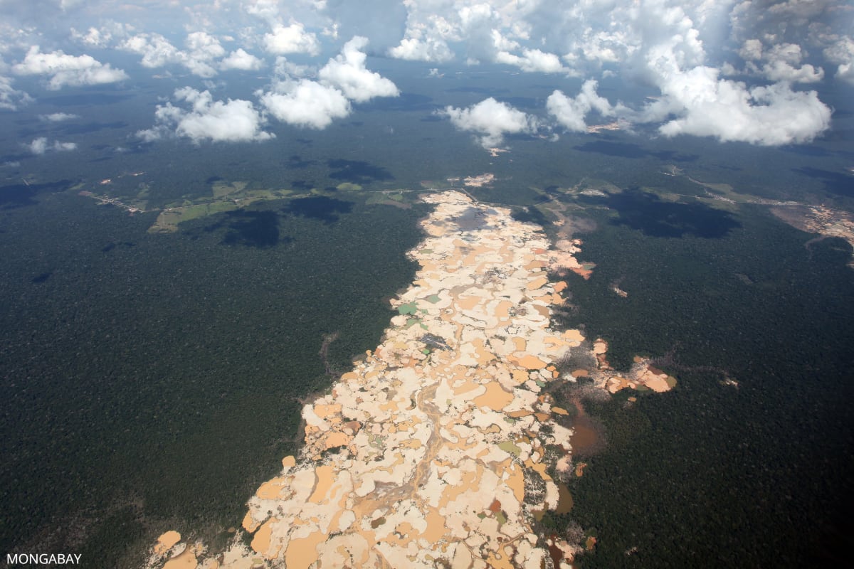 New AI Tool Exposes Illegal Amazon Gold Mining in Real Time - Image 4