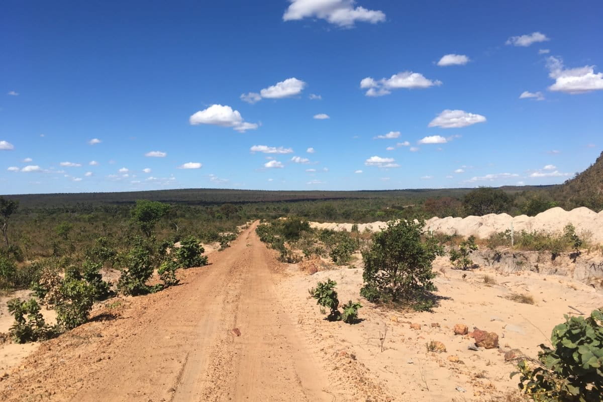 Brazil Pays Farmers to Protect Forests They Can Legally Cut - Image 5