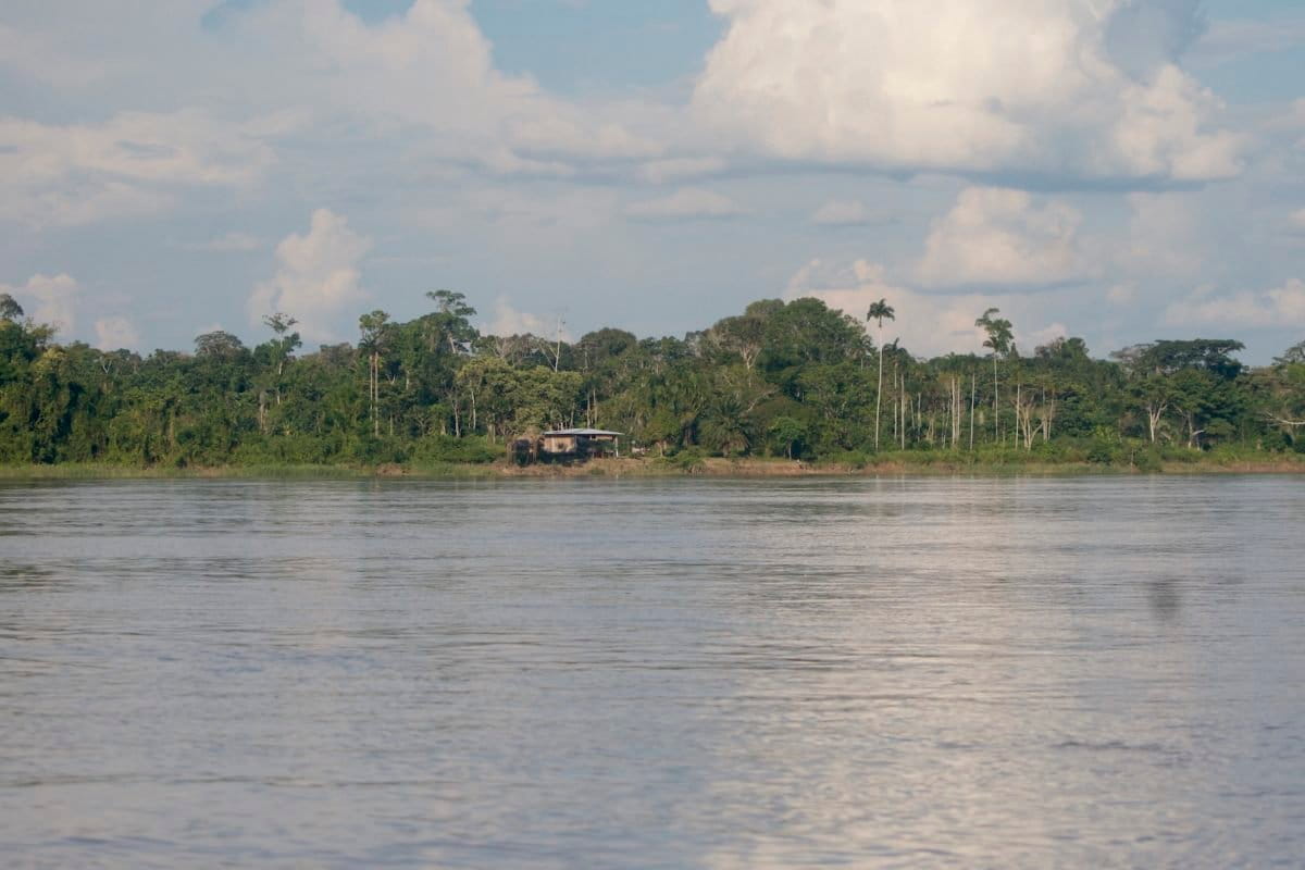 Ancient Vodun Faith Saves 1,235 Acres of Benin Mangroves - Image 4