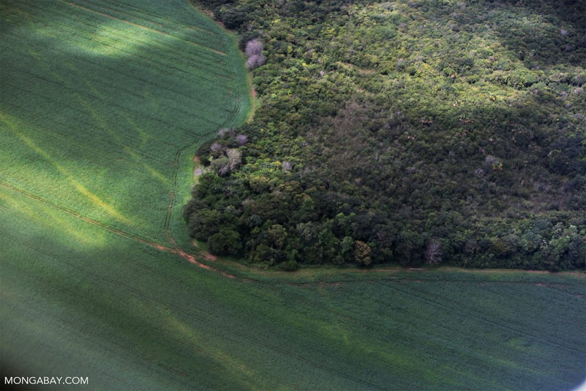 Brazil Conservation Plan Could Save Amazon's Flying Rivers - Image 2