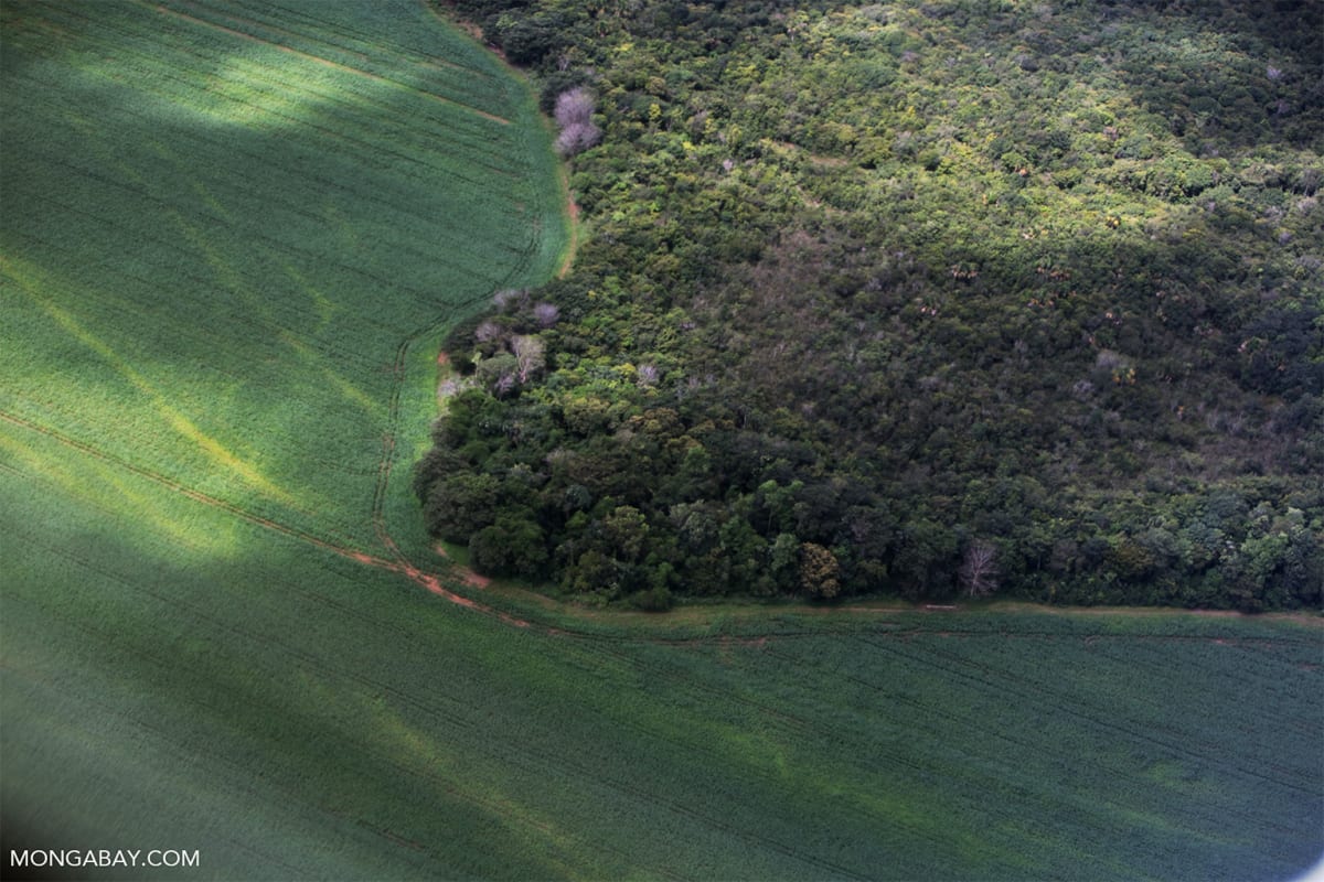 Aerial view of lush green Amazon rainforest canopy creating moisture for flying rivers