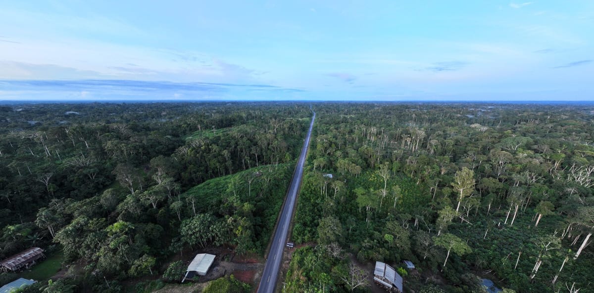 Brazil Shows Amazon Protection Can Work With Right Tools - Image 5