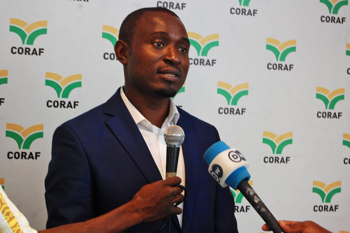 Second Twin Mountain Gorillas Born in Congo This Year - Image 3