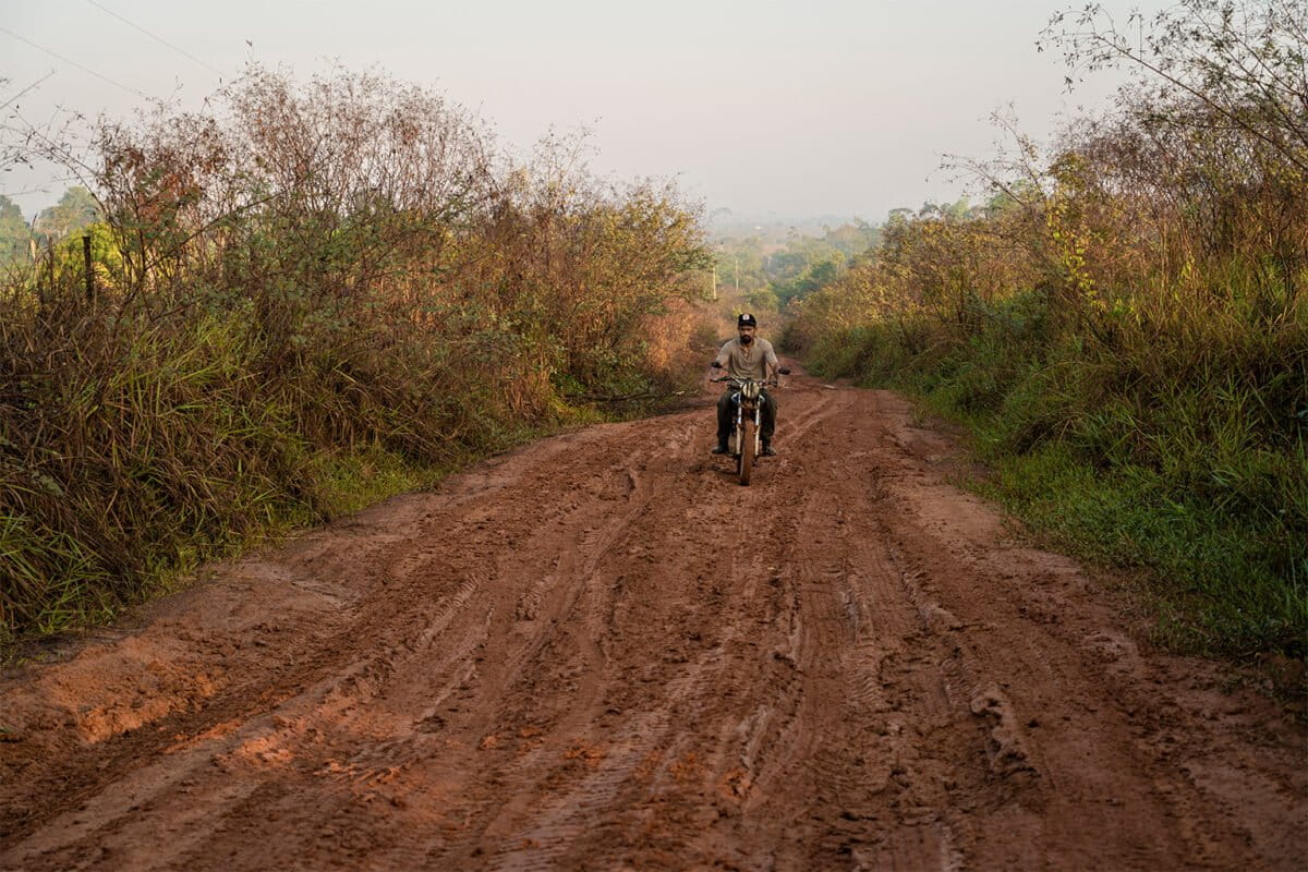 Amazon Rainforest Swallows Illegal Road in Rare Win - Image 2