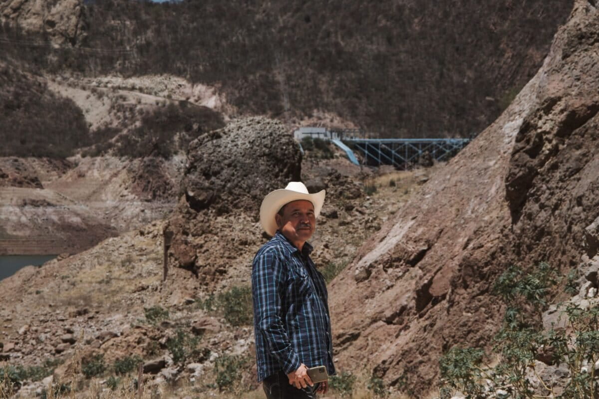 Second Twin Mountain Gorillas Born in Congo This Year - Image 4