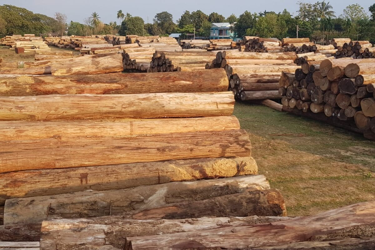 Luxury Yacht Maker Fined for Using Myanmar 'Blood Timber - Image 2