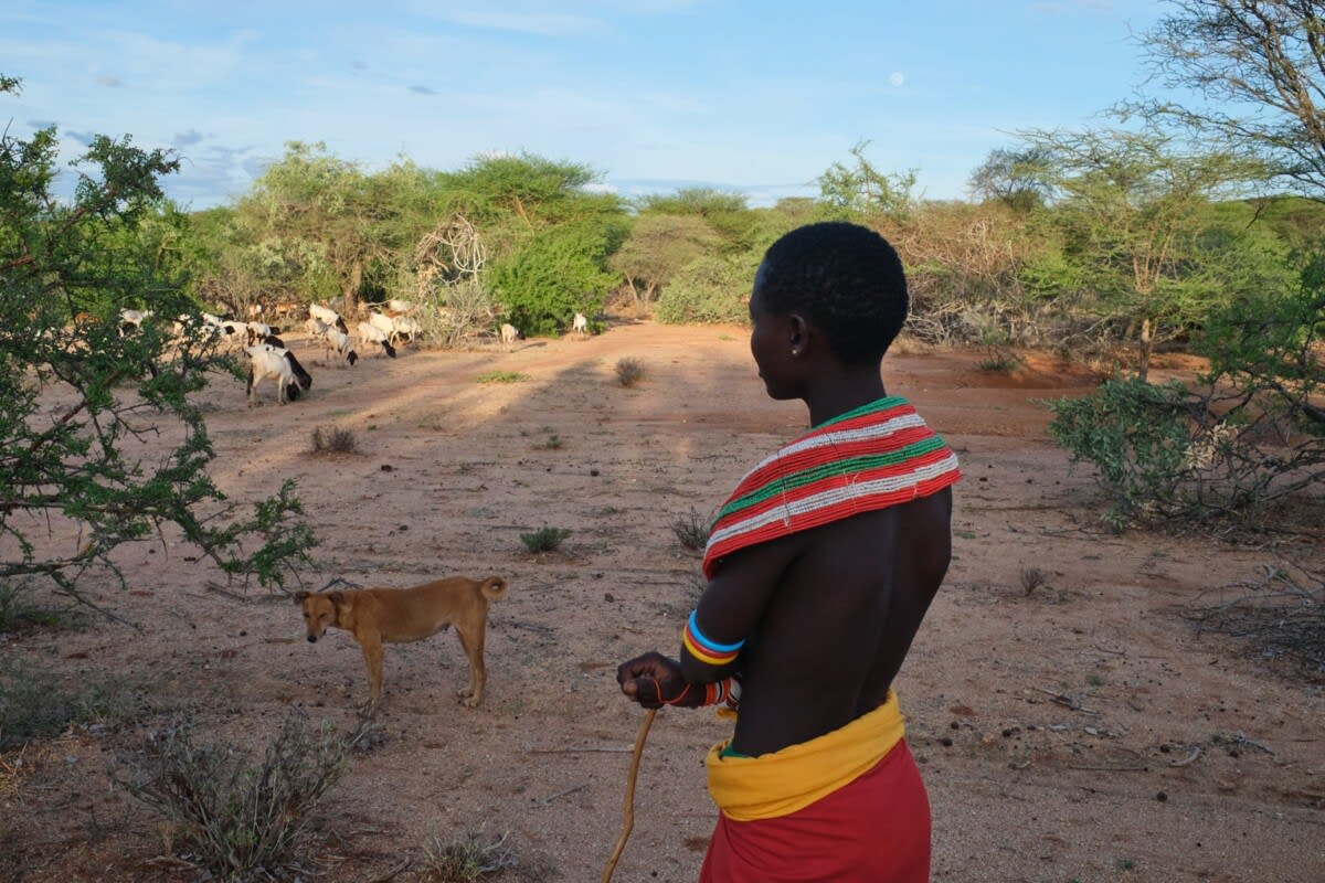 Mexico Scientists Race to Protect Island's Rare Wildlife - Image 5