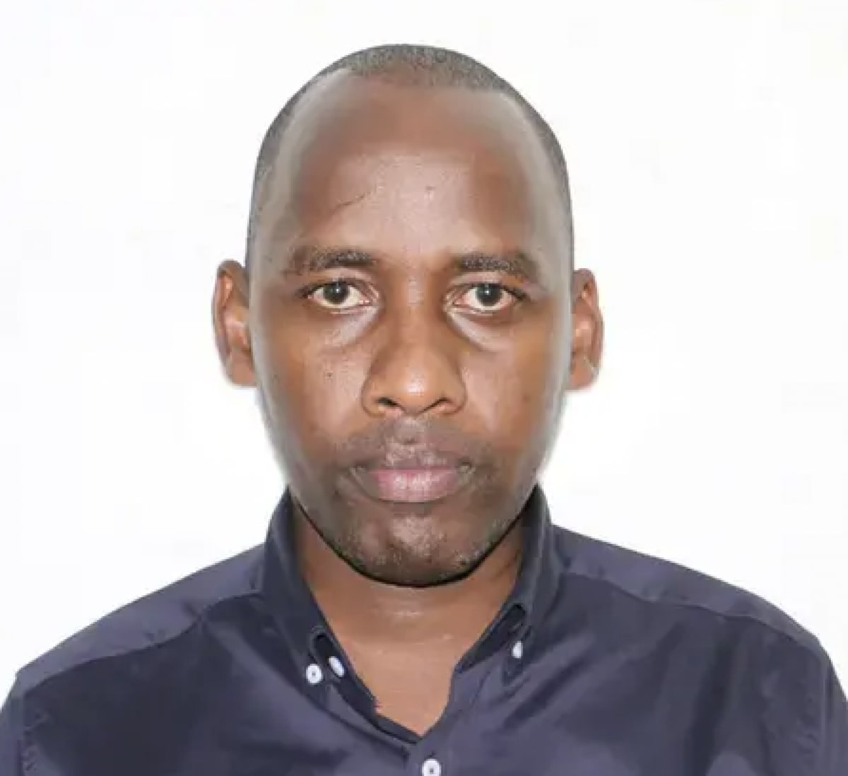 Mountain Gorillas Jump 73% Thanks to Phone Tech - Image 3