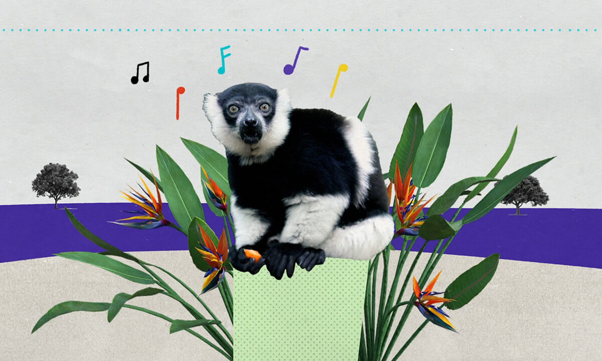 Malaysia Orders Rare Earth Plant to End Radioactive Waste - Image 5