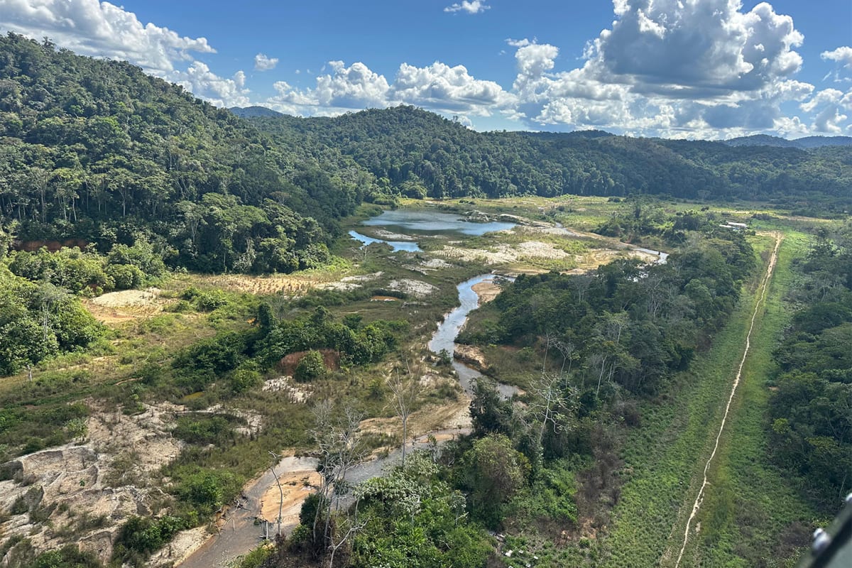 Drones Help Scientists Track Vulnerable Sea Cows - Image 2