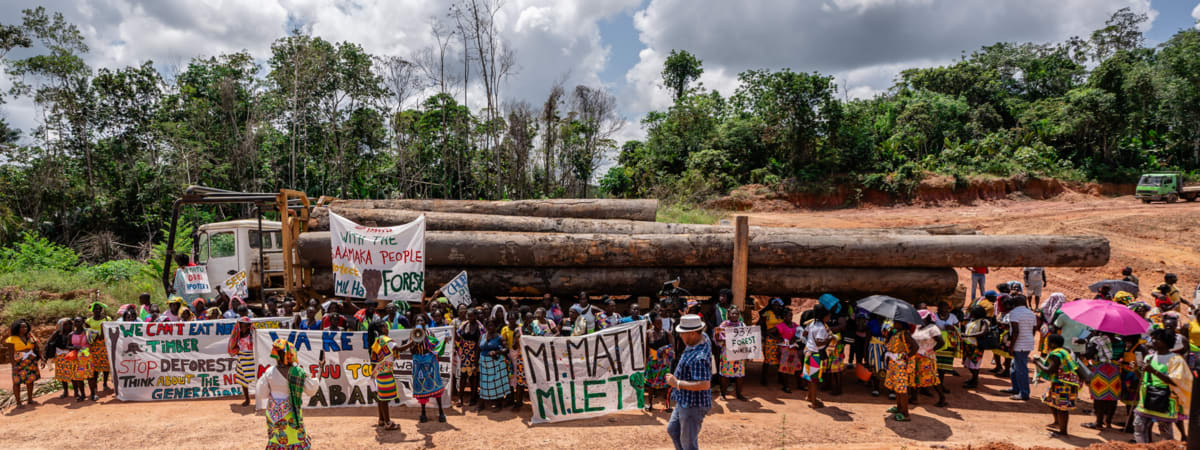 Displaced Families Now Lead Conservation in DRC Forest - Image 5