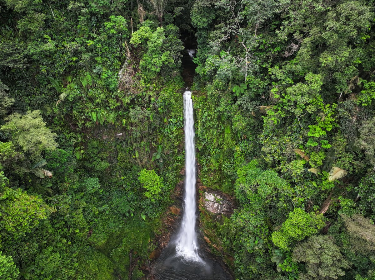 Forest Communities Win Voice in Climate Finance Decisions - Image 3