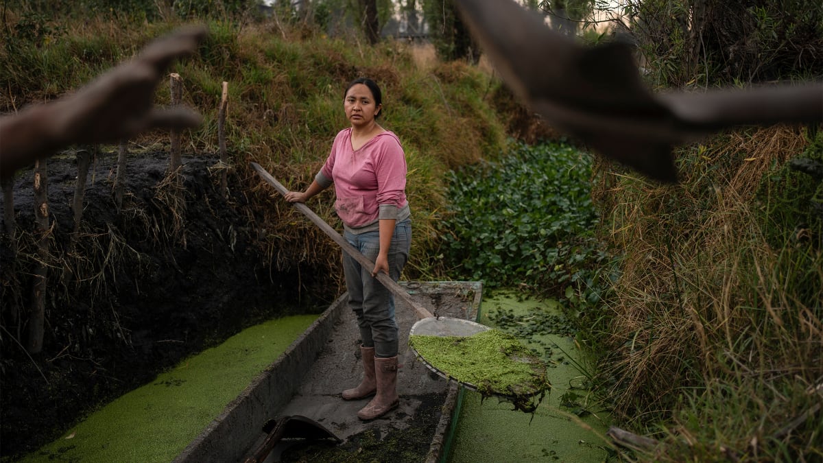 Communities Fight Climate Change With Ancient Wisdom