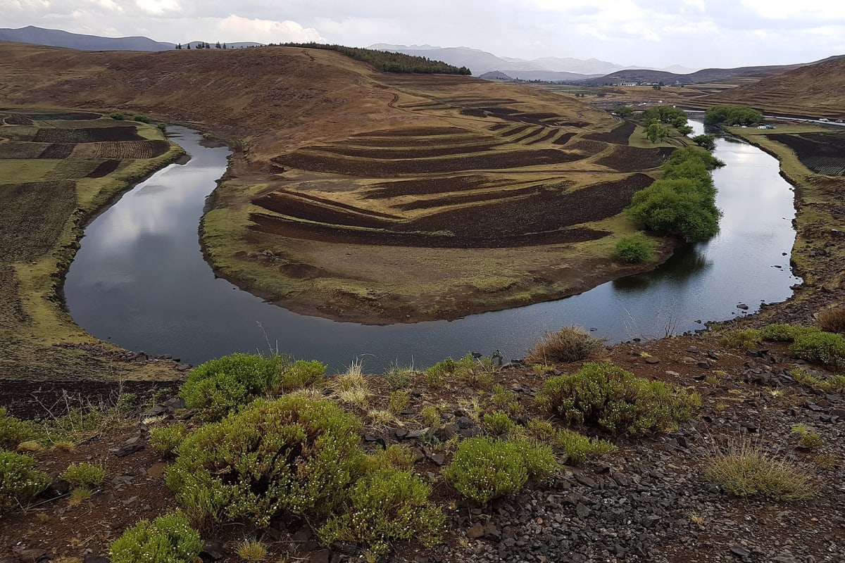 Canopy Bridges Give Sloths and Monkeys Safe Highway Crossings - Image 2