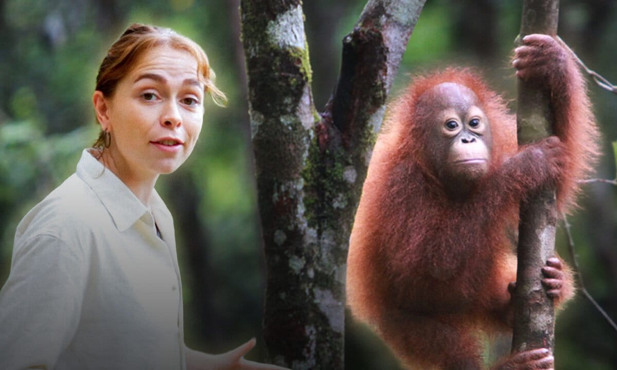 Oregon Fisherman Built Model Linking Catch to Community - Image 5