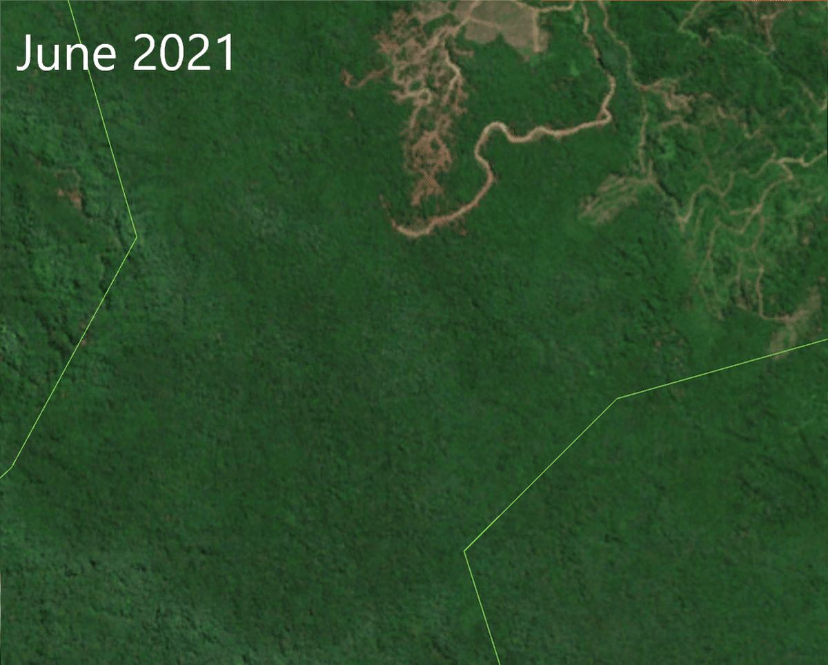 Indonesia Sues Logger for $214M After Deadly 2025 Floods - Image 5