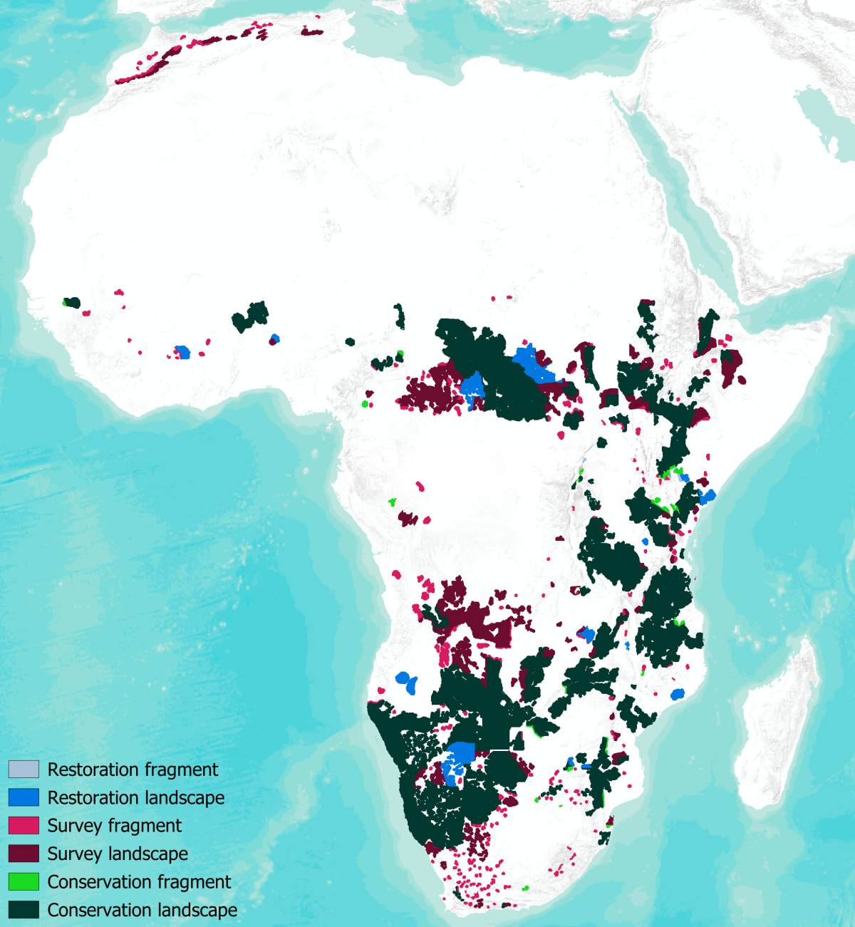 NASA-Backed Maps Reveal Hope for Tigers, Lions, and Jaguars - Image 4