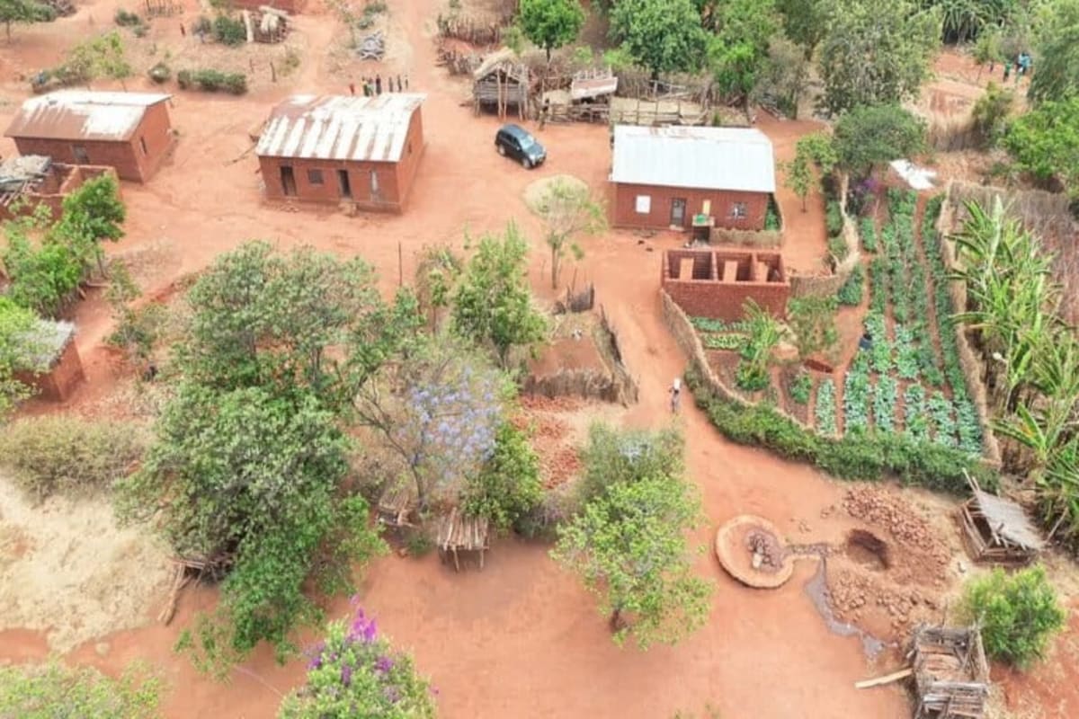 Malawi Farmers Cut Fertilizer Costs 40% With New Method - Image 4