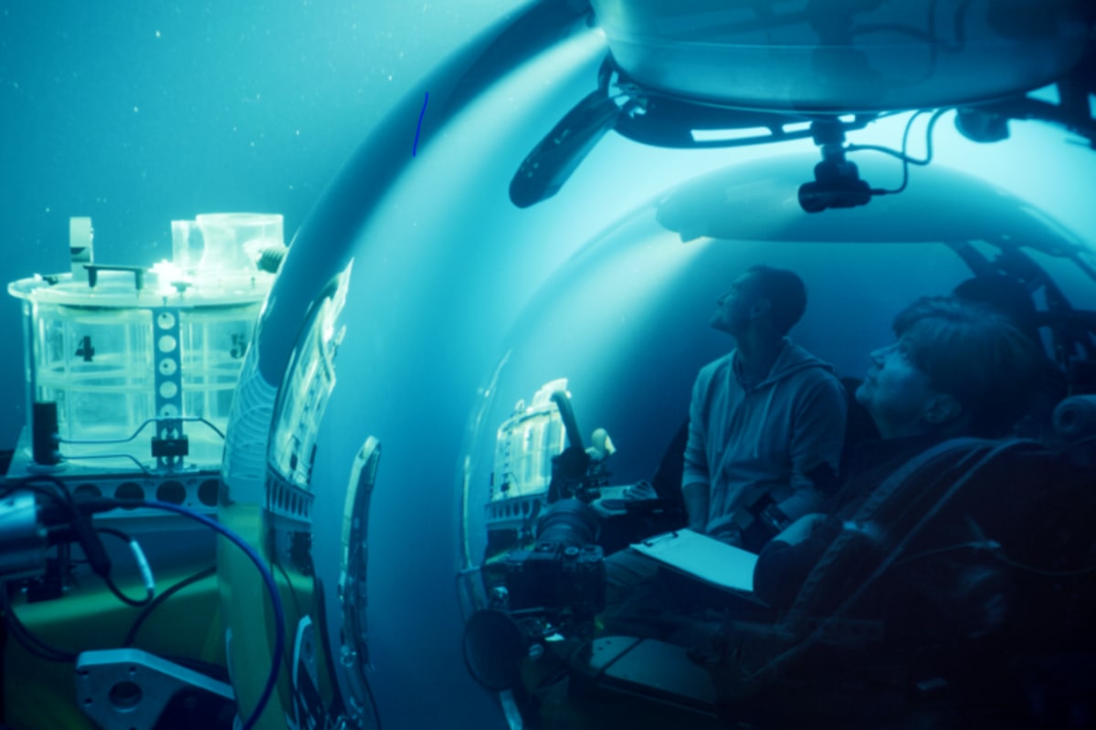 Marine Biologist Captures Ocean's Magical 'Flashback' Light - Image 4