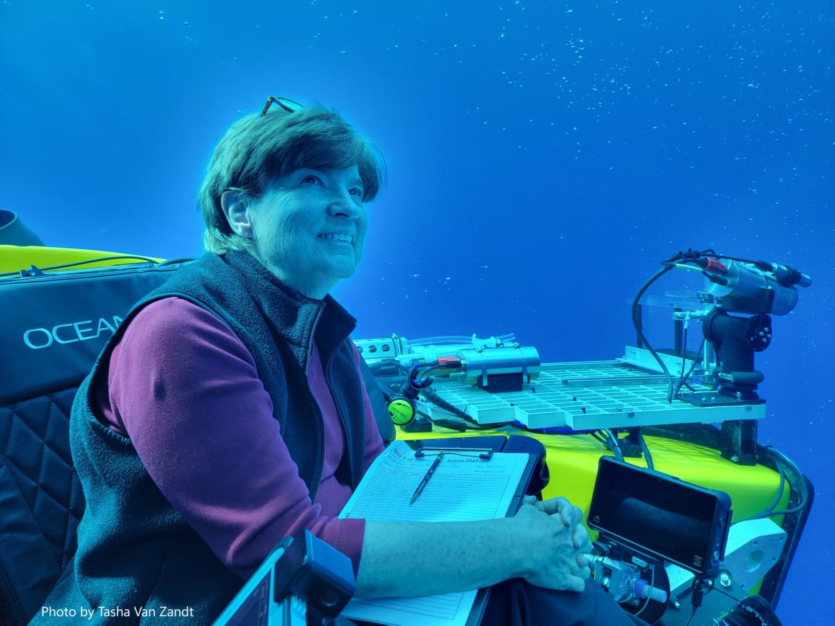 Marine Biologist Captures Ocean's Magical 'Flashback' Light - Image 3