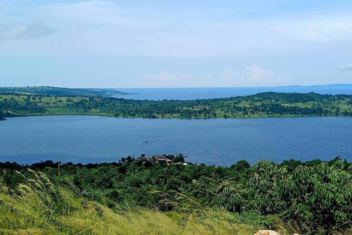 Scientists Describe 300+ New Freshwater Fish in 2024 - Image 2