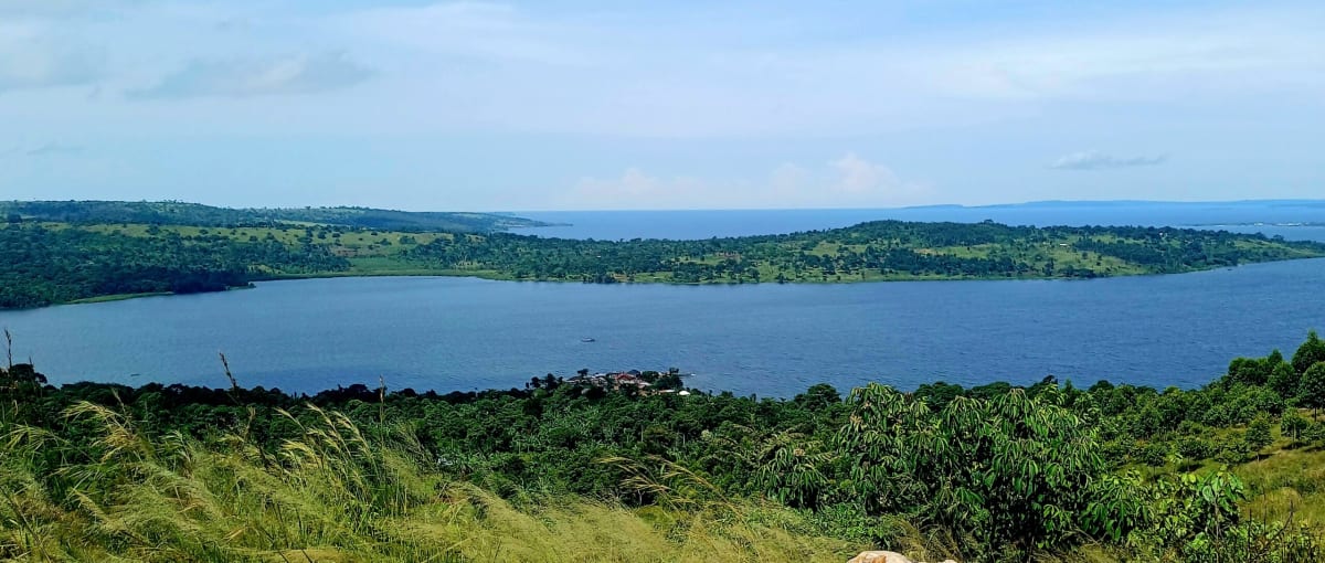 Scientists Describe 300+ New Freshwater Fish in 2024