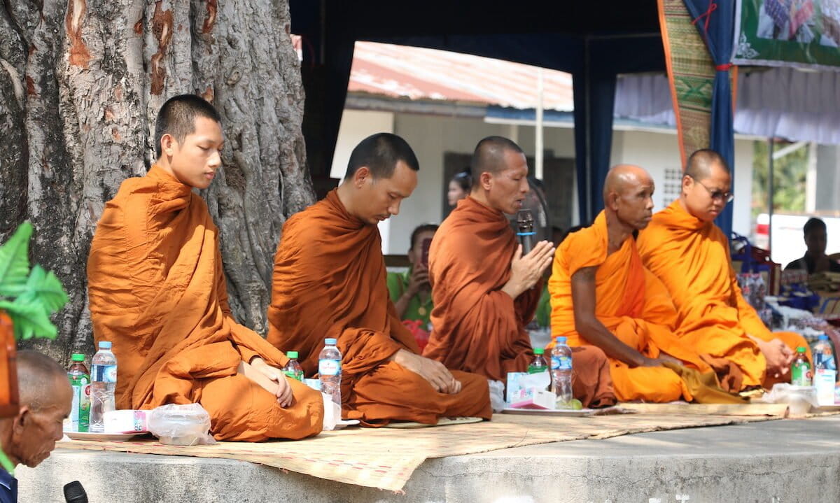 Ancient Spirits Help Save 294 Critically Rare Crocodiles - Image 2