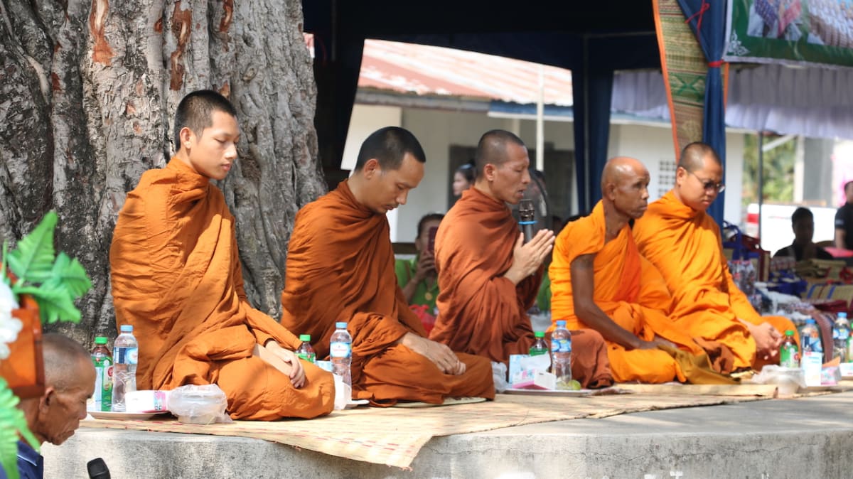 Young Siamese crocodile being measured by conservation team member in Laos village facility