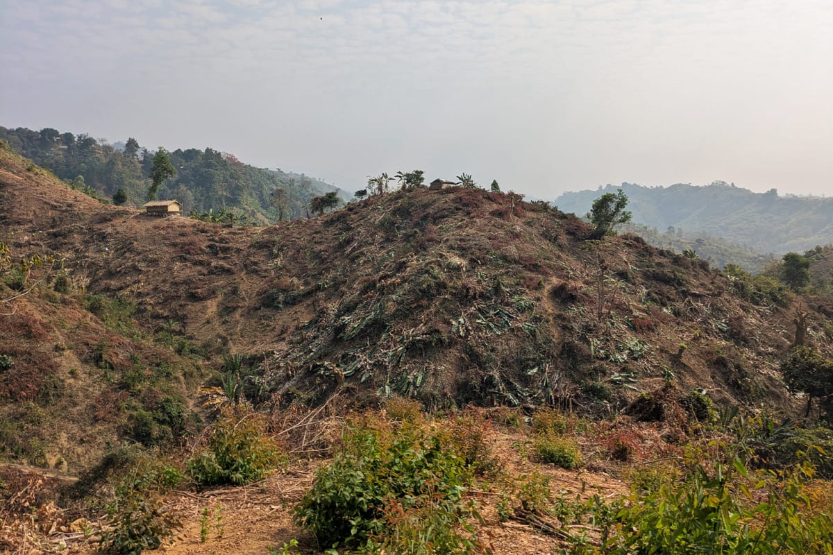 Bangladesh Farmers Boost Income $650 With Bamboo Trellises - Image 5