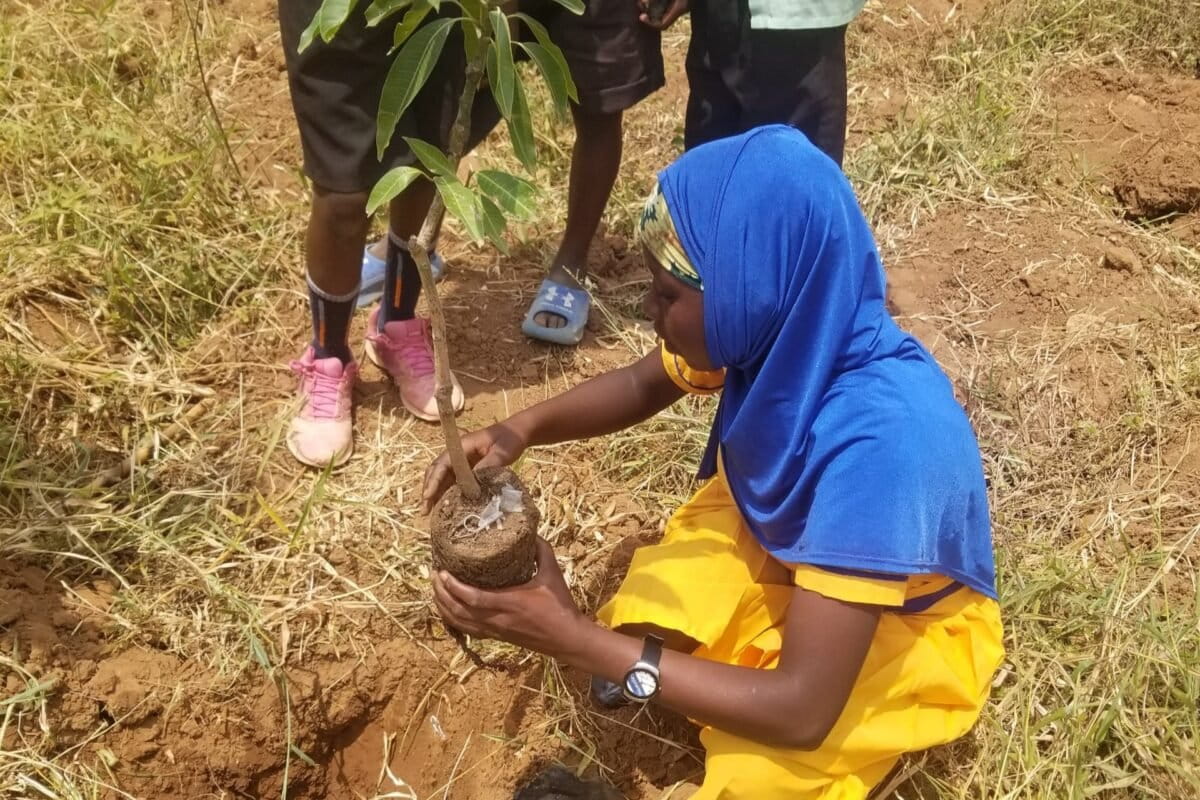 Uganda Kids Plant School Forests to Fight Deforestation - Image 2