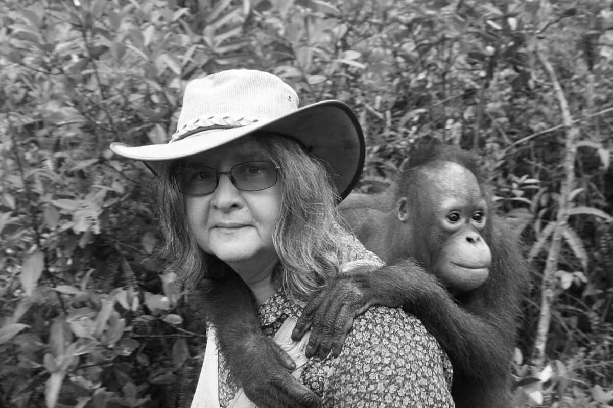 Primatologist Birutė Galdikas Dies at 79, 450 Apes Saved - Image 2