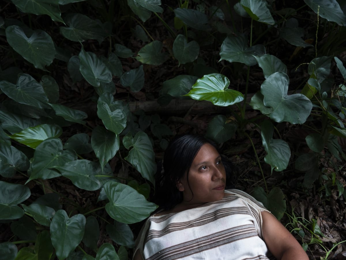 Peru Women Rescue 28 Ancestral Crops From Extinction - Image 5