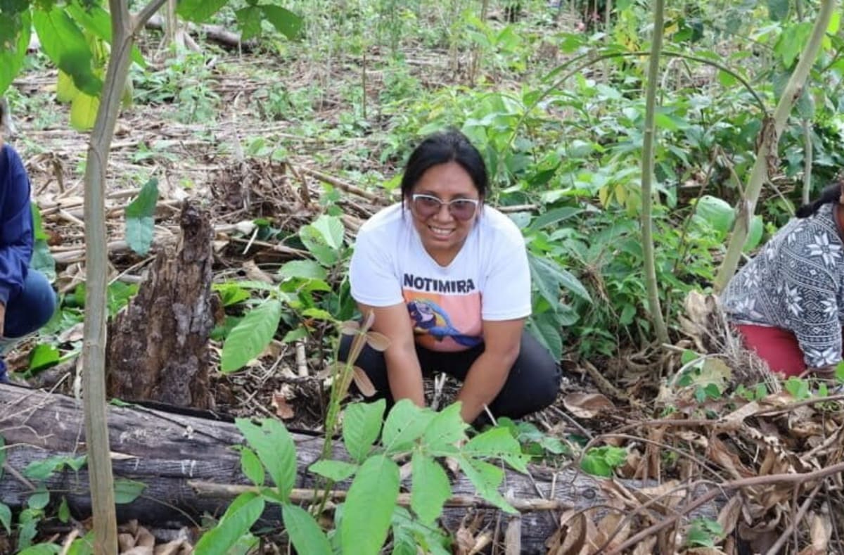 Machiguenga woman harvesting purple magona potatoes from rich black soil in Peru