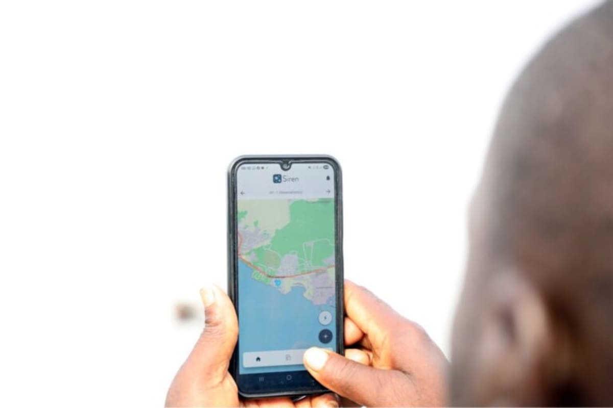 Cameroon Fishers Help Document 45 Shark & Ray Species - Image 4